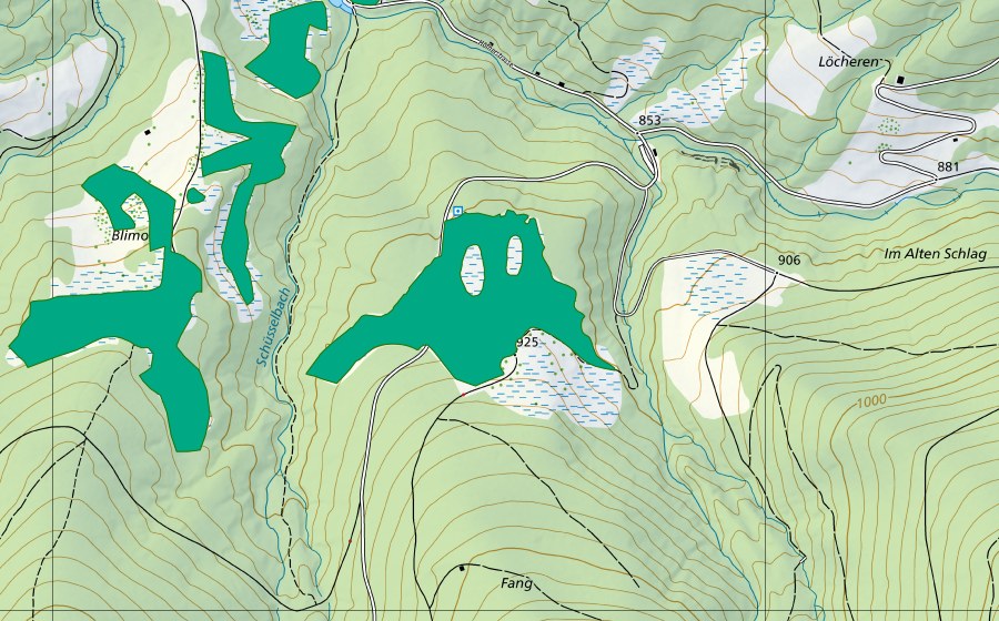 Landeskarte swisstopo mit dem Schutzperimeter von Im Fang (Flachmoor)