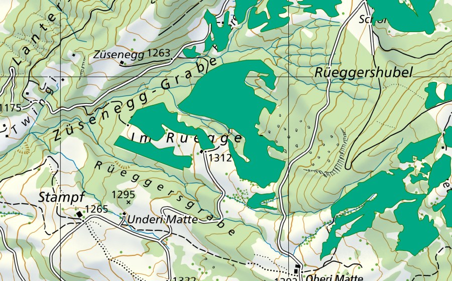 Carte nationale swisstopo avec le périmètre protégé de Im Rüeggers (Bas-marais)