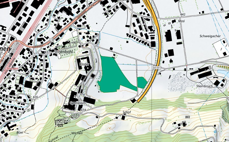 swisstopo national map showing the protected perimeter of Ingenbohl (Fen)