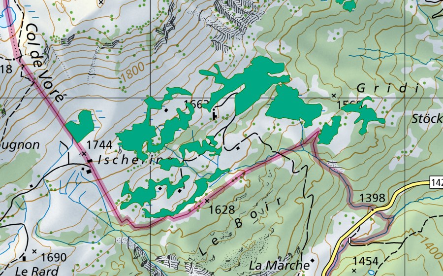 Carte nationale swisstopo avec le périmètre protégé de Iserin (Bas-marais)