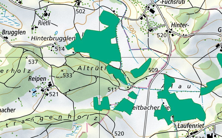 swisstopo national map showing the protected perimeter of Itziker Riet/Reitbacher Riet (Fen)
