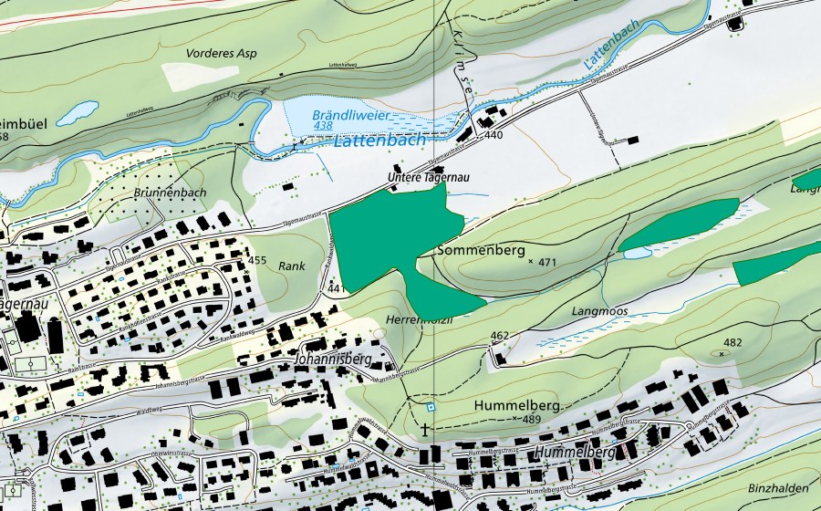 Carte nationale swisstopo avec le périmètre protégé de Johannisberg (Bas-marais)