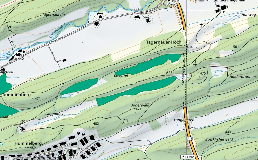 Landeskarte swisstopo mit dem Schutzperimeter von Joner Wald (Flachmoor)