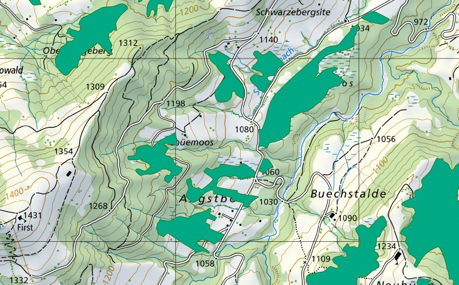 Carte nationale swisstopo avec le périmètre protégé de Juchmoos/Angstboden (Bas-marais)