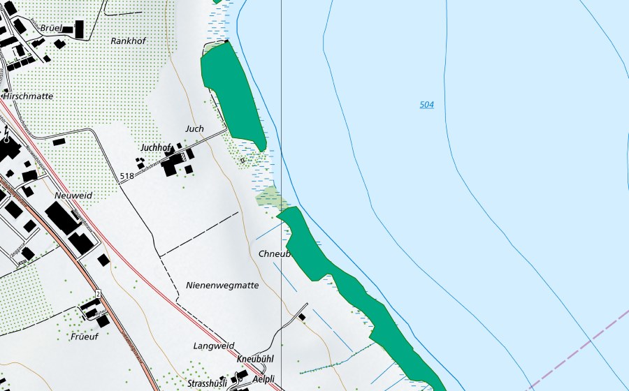 swisstopo national map showing the protected perimeter of Juchmoos (Fen)