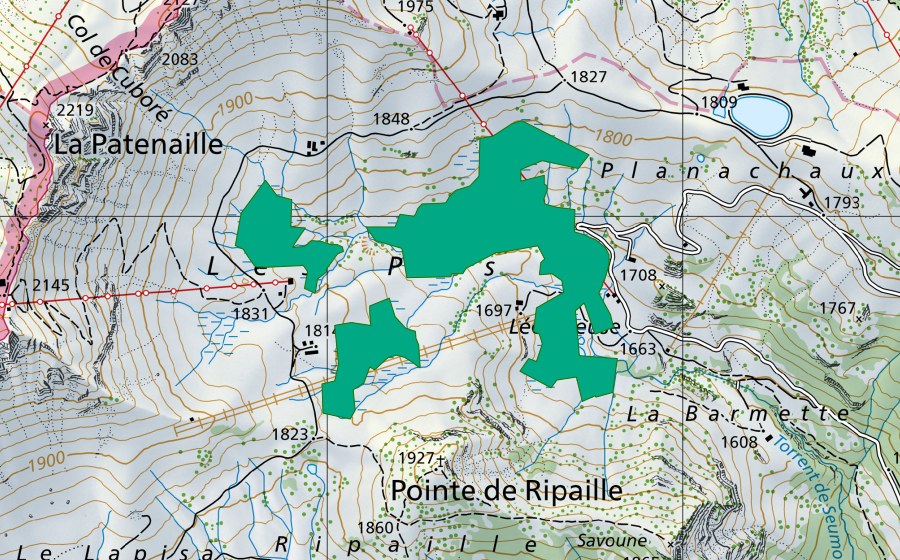 Landeskarte swisstopo mit dem Schutzperimeter von L'Echereuse (Flachmoor)