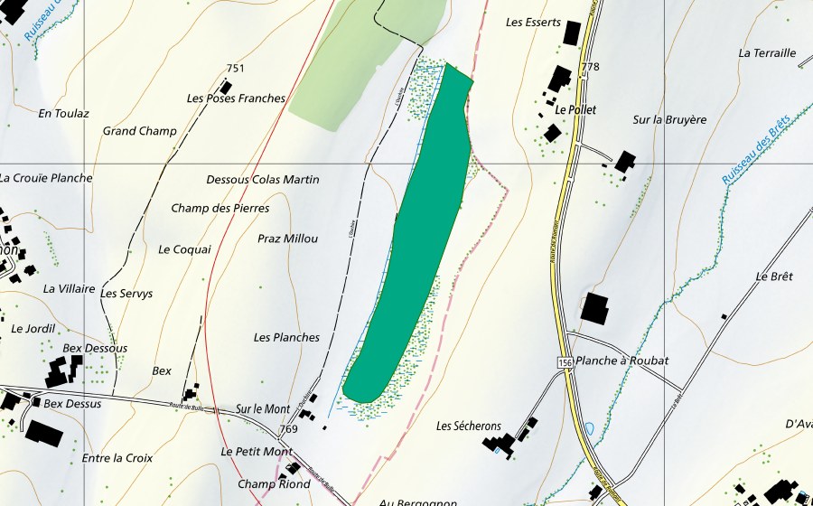 swisstopo national map showing the protected perimeter of L'Ochère (Fen)