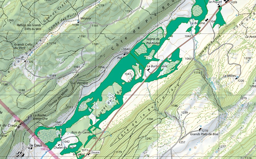 swisstopo national map showing the protected perimeter of La Burtignière (Fen)