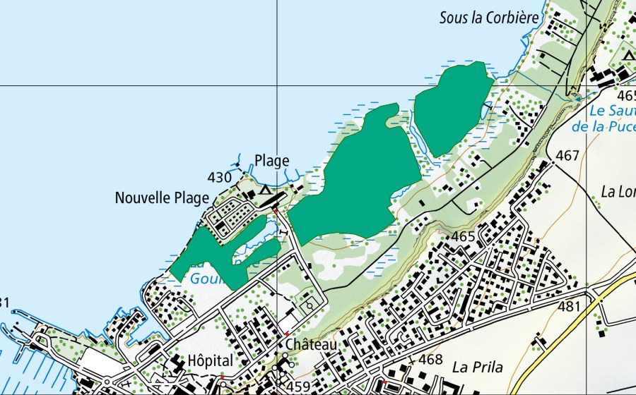 swisstopo national map showing the protected perimeter of La Grève (Fen)