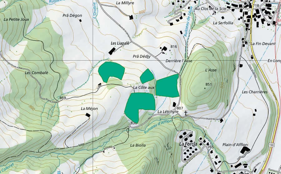 Landeskarte swisstopo mit dem Schutzperimeter von La Léchire (Flachmoor)