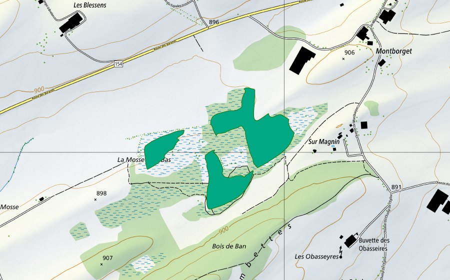 Landeskarte swisstopo mit dem Schutzperimeter von La Mosse d'en Bas (Flachmoor)