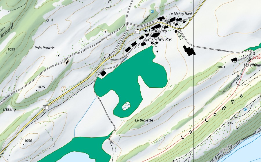 Landeskarte swisstopo mit dem Schutzperimeter von La Sagne du Séchey (Flachmoor)