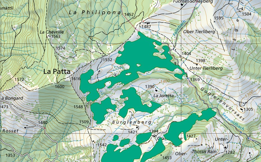 Carta nazionale swisstopo con il perimetro protetto di La Spielmannda/Untertierliberg (Torbiera bassa)