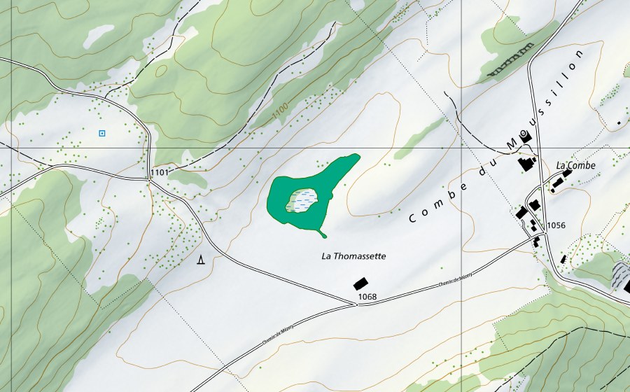 Landeskarte swisstopo mit dem Schutzperimeter von La Thomassette (Flachmoor)