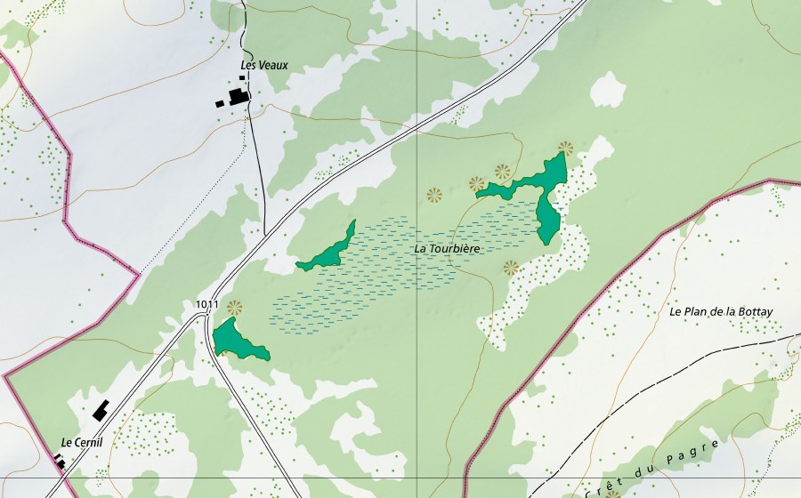 Landeskarte swisstopo mit dem Schutzperimeter von La Tourbière au sud des Veaux (Flachmoor)