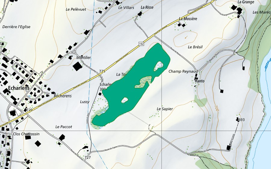 Landeskarte swisstopo mit dem Schutzperimeter von La Tourbière d'Echarlens (Flachmoor)