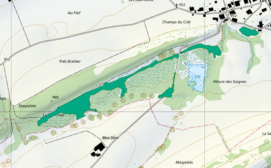 Carte nationale swisstopo avec le périmètre protégé de La Tourbière des Enfers (Bas-marais)