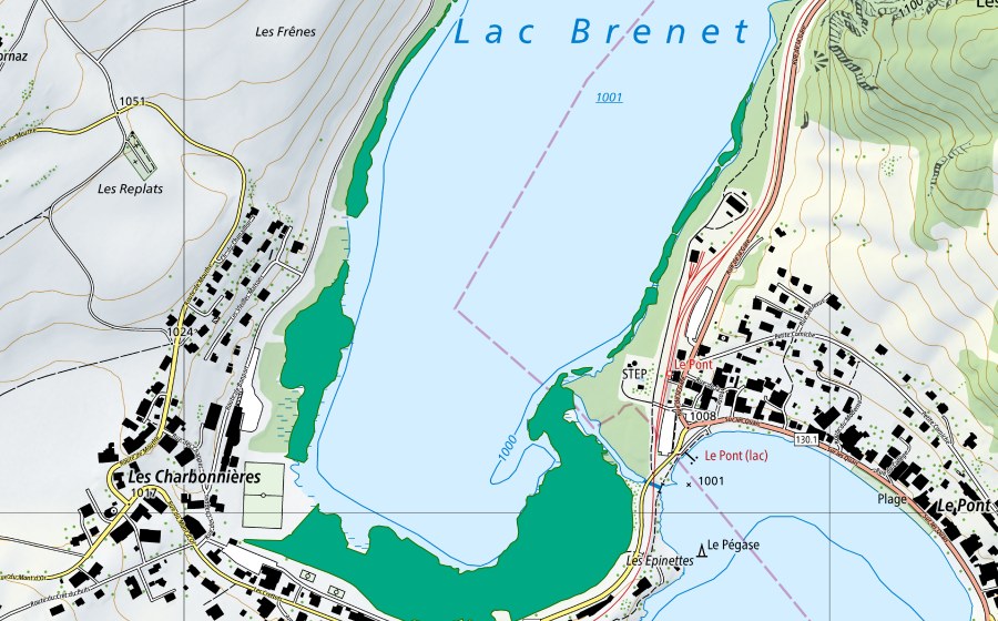 Landeskarte swisstopo mit dem Schutzperimeter von Lac Brenet (Flachmoor)