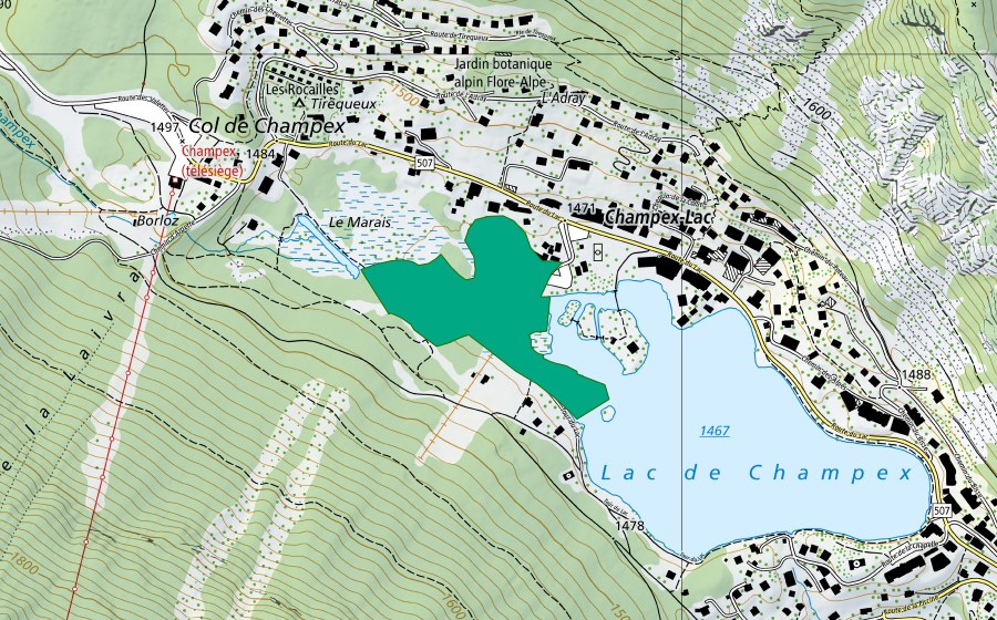 Carta nazionale swisstopo con il perimetro protetto di Lac de Champex (Torbiera bassa)