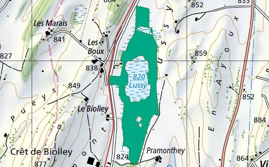 Carta nazionale swisstopo con il perimetro protetto di Lac de Lussy (Torbiera bassa)
