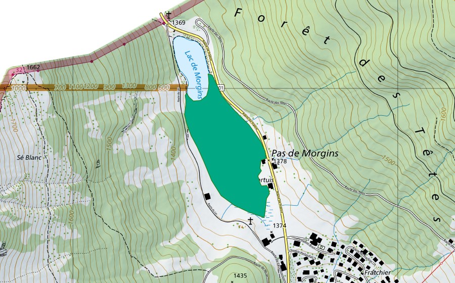 Landeskarte swisstopo mit dem Schutzperimeter von Lac de Morgins (Flachmoor)