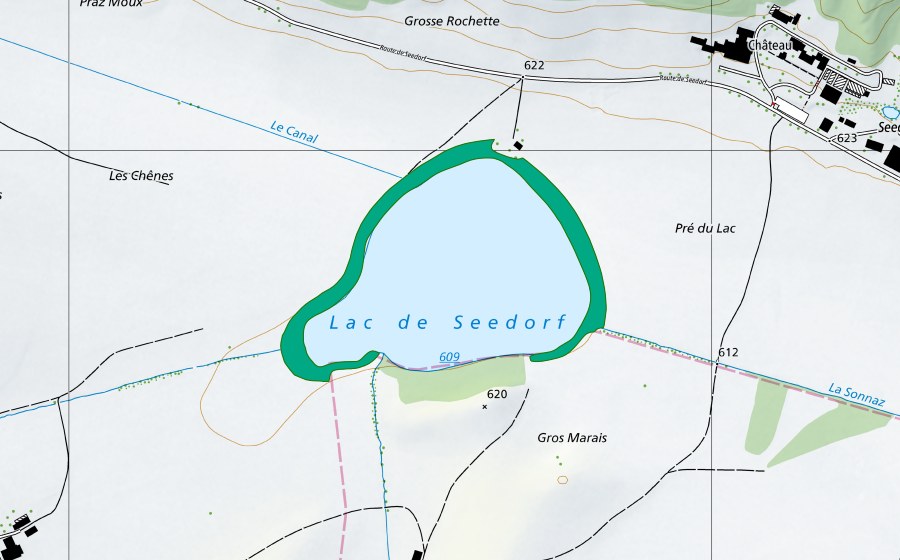 swisstopo national map showing the protected perimeter of Lac de Seedorf (Fen)