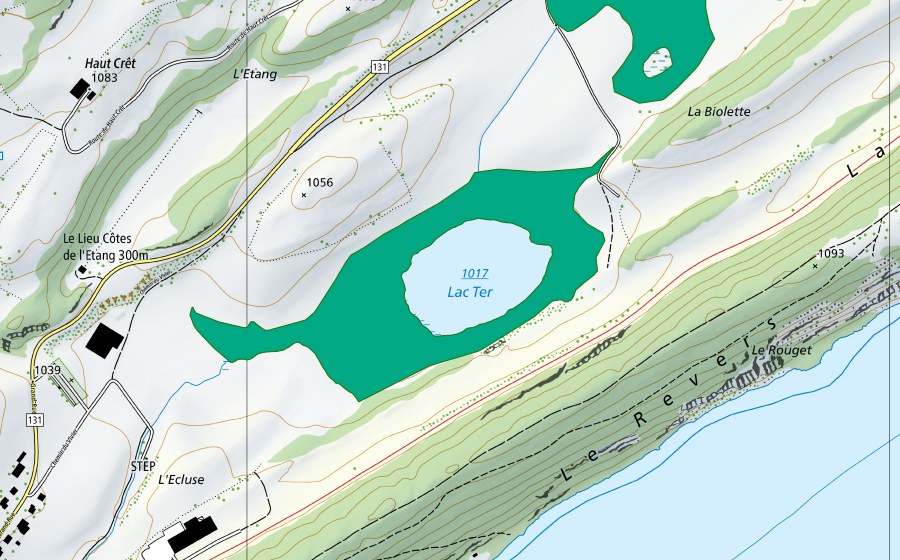 Landeskarte swisstopo mit dem Schutzperimeter von Lac Ter (Flachmoor)