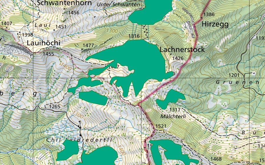 swisstopo national map showing the protected perimeter of Lachen (Fen)