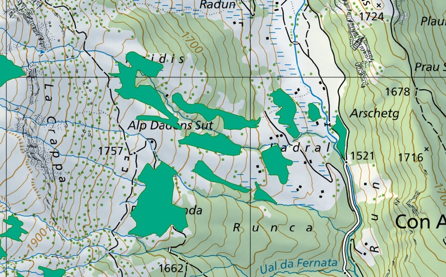 Landeskarte swisstopo mit dem Schutzperimeter von Ladiral (Flachmoor)