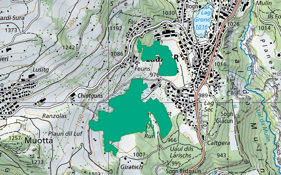 Carta nazionale swisstopo con il perimetro protetto di Lag digl Oberst (Torbiera bassa)