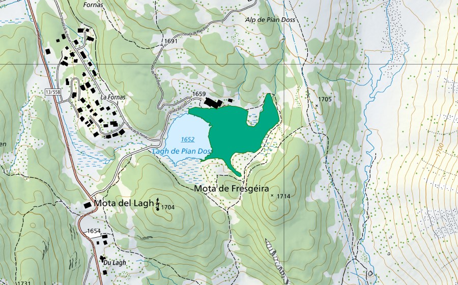swisstopo national map showing the protected perimeter of Lagh Doss (Fen)