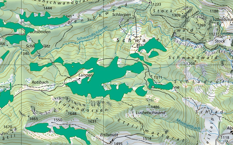 Carta nazionale swisstopo con il perimetro protetto di Längenfeldmoos (Torbiera bassa)