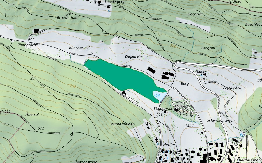Carte nationale swisstopo avec le périmètre protégé de Langenmoos (Bas-marais)