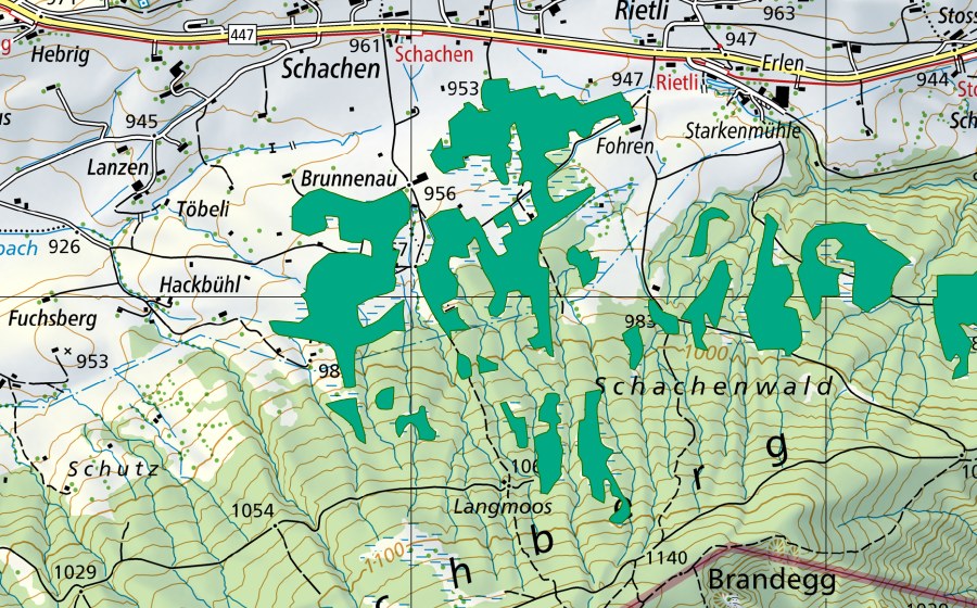 swisstopo national map showing the protected perimeter of Langmoos/Foren (Fen)