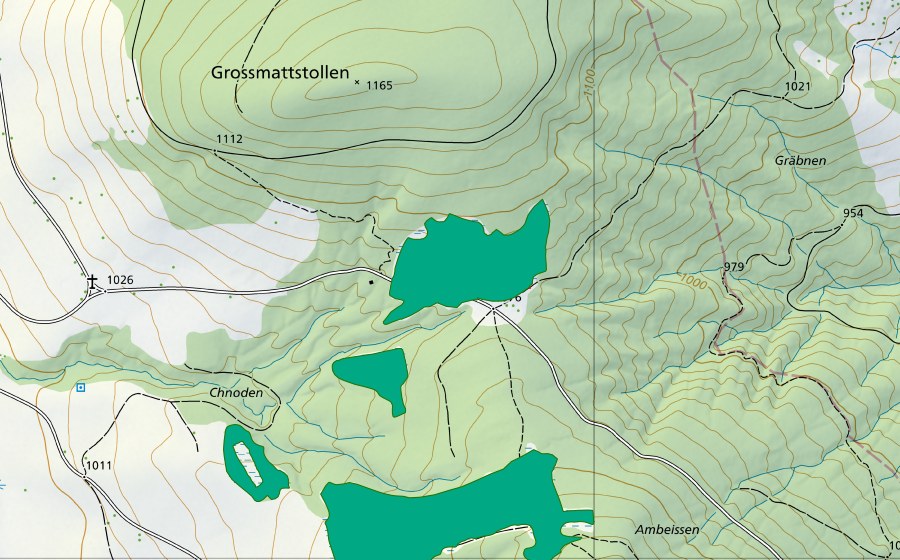 Landeskarte swisstopo mit dem Schutzperimeter von Langmösli/Feldriedli (Flachmoor)