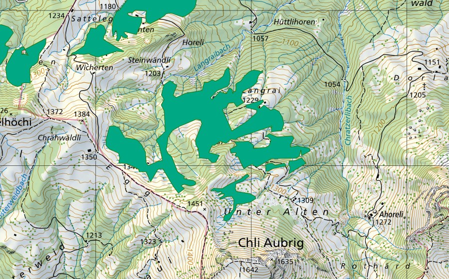 swisstopo national map showing the protected perimeter of Langriet/Schneeloch (Fen)