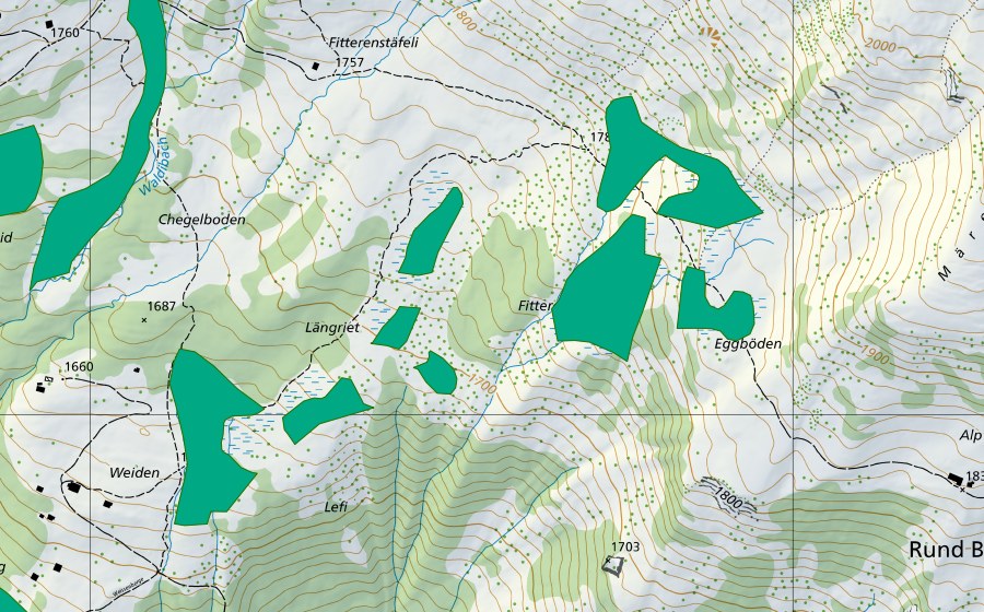 Landeskarte swisstopo mit dem Schutzperimeter von Längriet (Flachmoor)