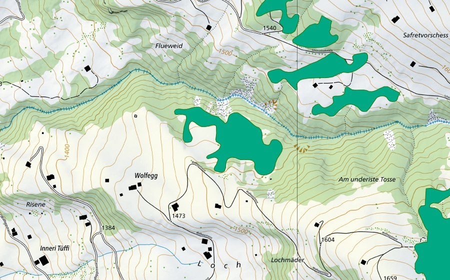 swisstopo national map showing the protected perimeter of Lätzi Wolfegg (Fen)
