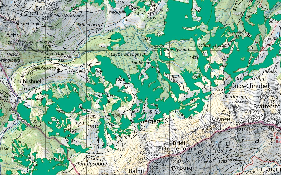 Landeskarte swisstopo mit dem Schutzperimeter von Laubersmadghack/Bärsel (Flachmoor)