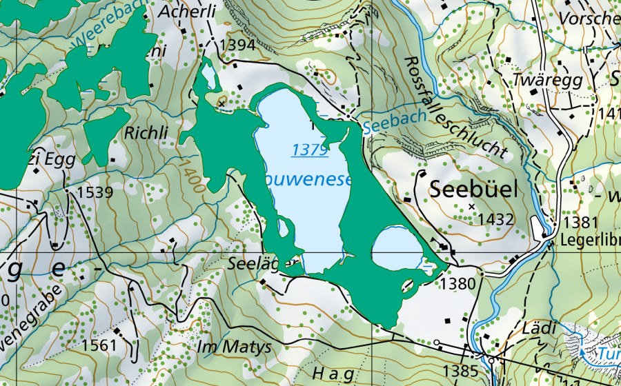 Carta nazionale swisstopo con il perimetro protetto di Lauenensee (Torbiera bassa)
