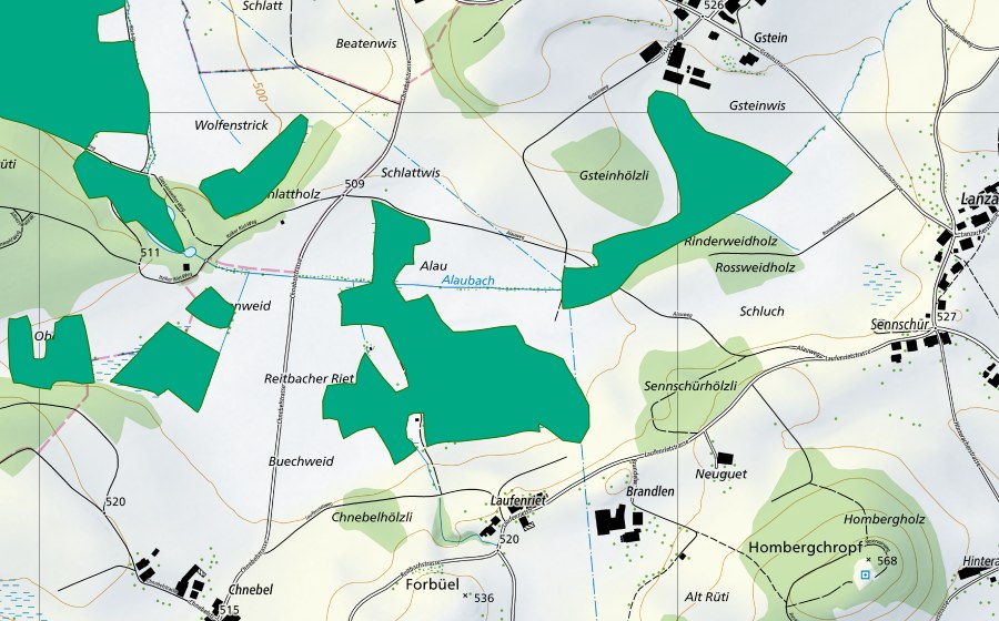 Landeskarte swisstopo mit dem Schutzperimeter von Laufenriet (Flachmoor)