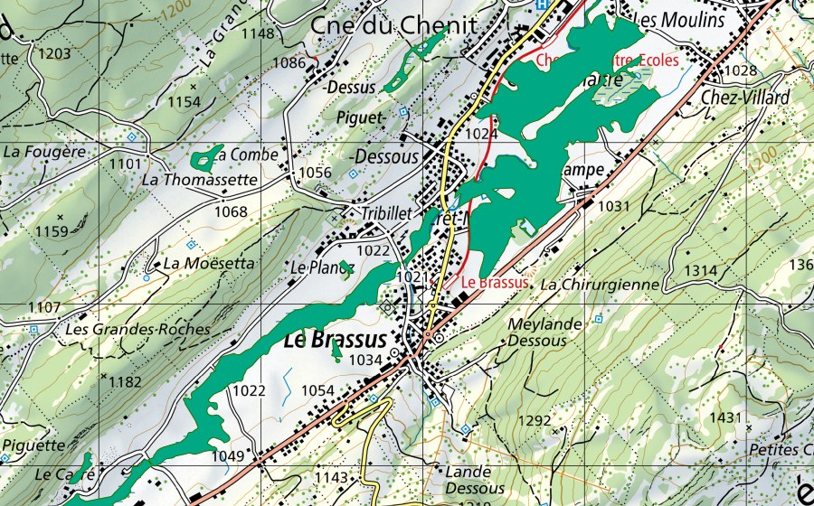 swisstopo national map showing the protected perimeter of Le Brassus (Fen)