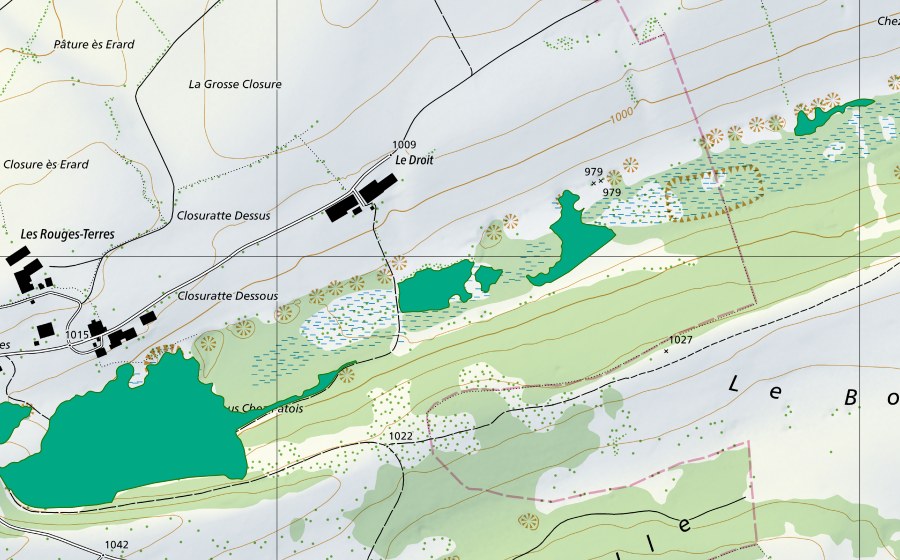 swisstopo national map showing the protected perimeter of Le Droit (Fen)