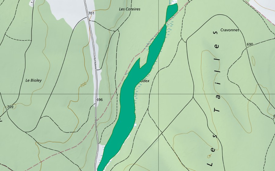 Landeskarte swisstopo mit dem Schutzperimeter von Le Paudex (Flachmoor)