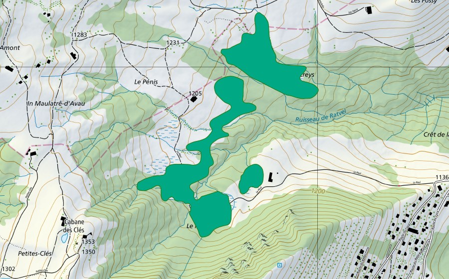 swisstopo national map showing the protected perimeter of Le Penny (Fen)
