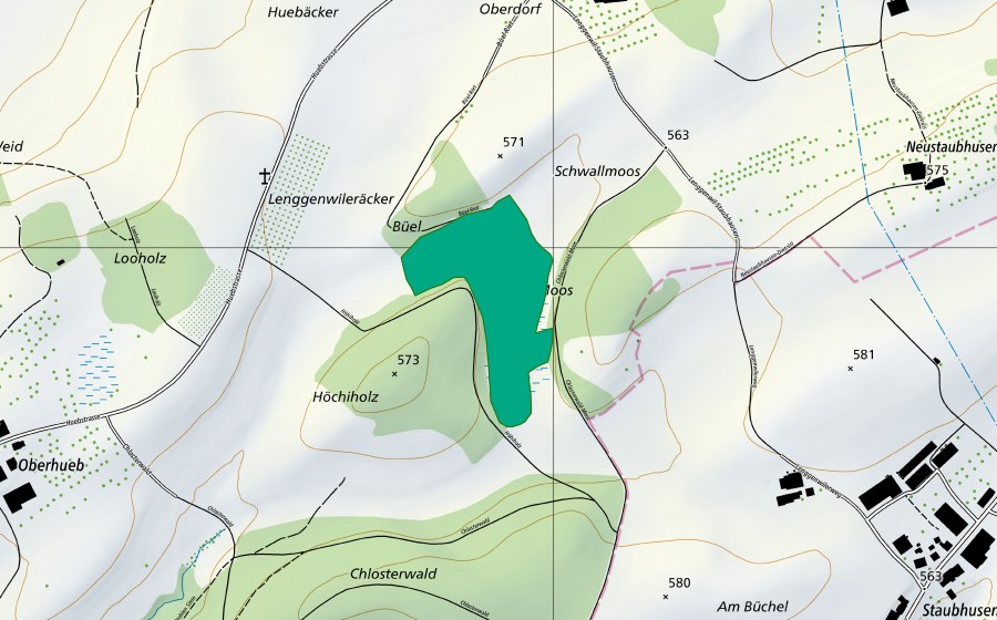 Carte nationale swisstopo avec le périmètre protégé de Lenggenwiler Moos (Bas-marais)