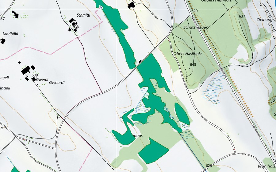 Carte nationale swisstopo avec le périmètre protégé de Lerchmatt/Schmittmoos (Bas-marais)