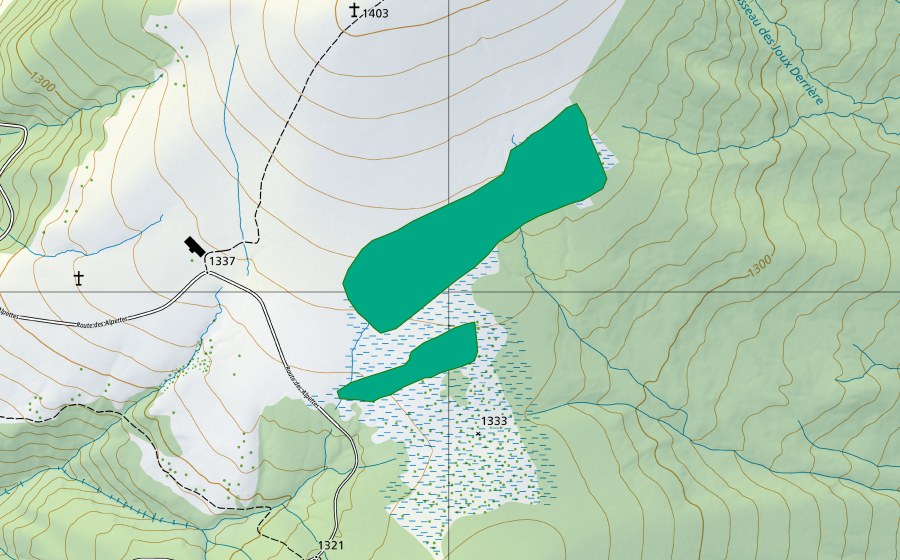 Landeskarte swisstopo mit dem Schutzperimeter von Les Alpettes (Flachmoor)