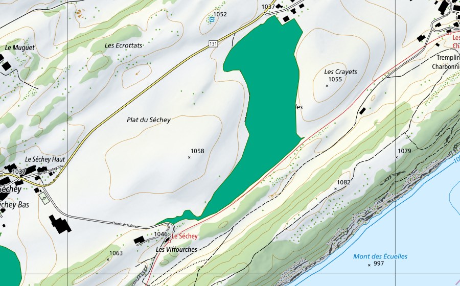 Landeskarte swisstopo mit dem Schutzperimeter von Les Cruilles (Flachmoor)