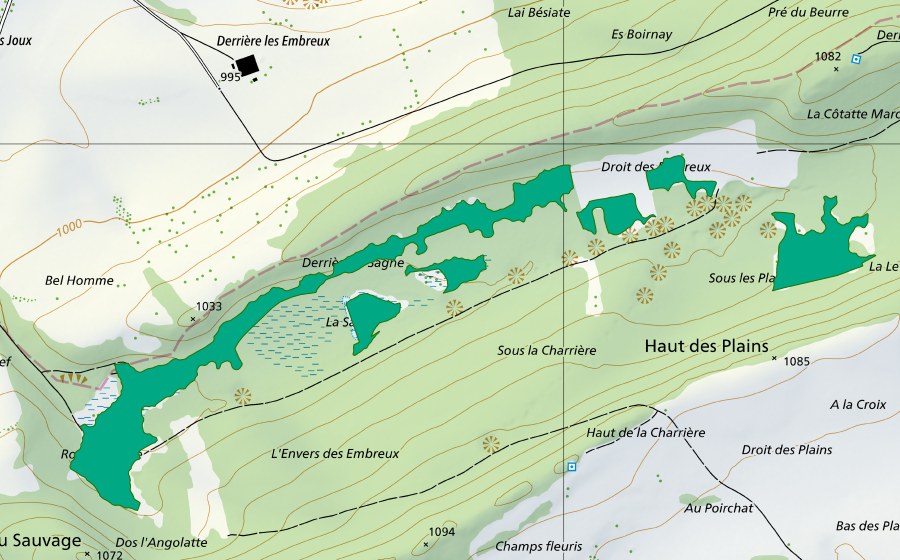 Carte nationale swisstopo avec le périmètre protégé de Les Embreux (Bas-marais)